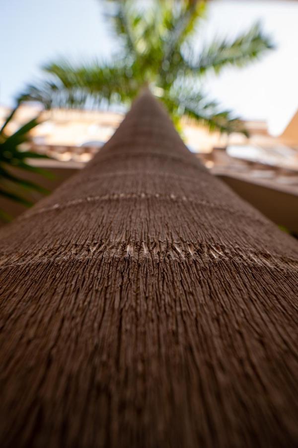 Luxury Apartment Ocean View Las Americas Costa Adeje  Extérieur photo